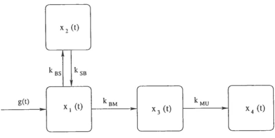 FIG. 1.2.1. Modèle à 4 compartiments