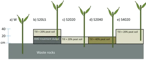 Fig. 1. Schematic representation of substrate treatments tested in the study. (a) Direct planting in waste rocks (W)
