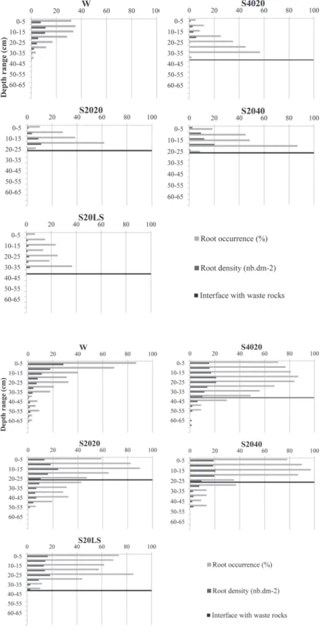 Fig. 3. Willow root profiles (root occurrence in % and  density in number of roots dm −2 ) along a 75 × 70 cm  observation trench among the five tested  treat-ments (S2020, 20-cm layer of soil mixed with 20% 