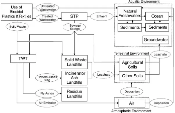 Figure 1.  Vue d'ensemble des transformations de l'argent déclenché par les plastiques et les textiles  biocides  (tiré  de  Blaser  et  al