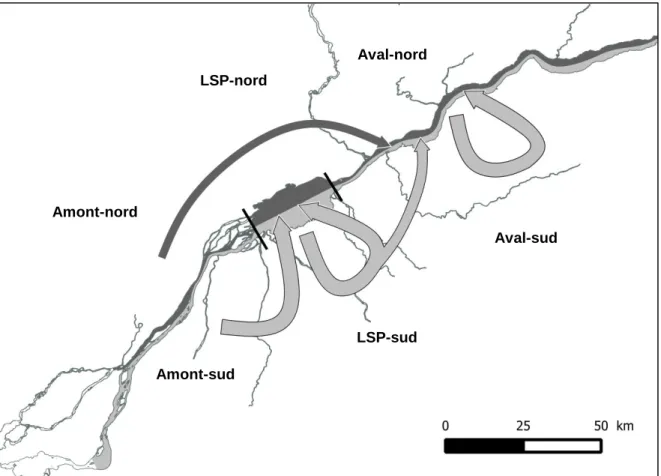 Figure  4. Modèle conceptuel de la dispersion et de la rétention des postlarves  de perchaude entre les six secteurs étudiés