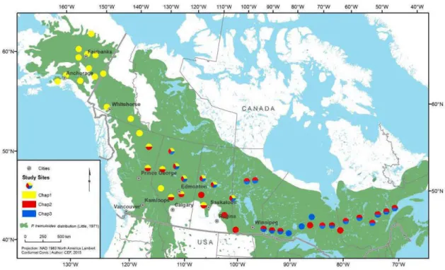 Figure  1.3  Localisation  de  l'ensemble  des  sites  échantillonnés  dans  la  forêt  boréale  et  la  tremblaie-parc