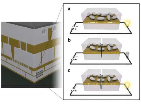 Figure 9: A  schematic example of autonomous conductivity restoration  concept in a  microelectronic deviee
