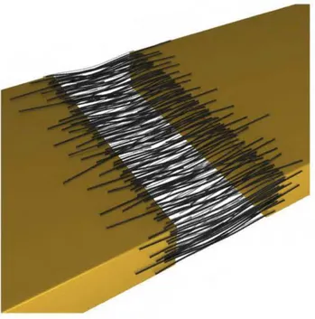 Figure 16:  bridging of carbon nanotubes in a gap of gold line with  preferential orientation due to electric field migration