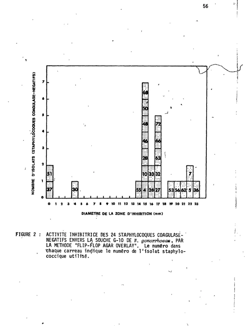 FIGURE  2  ACTIVITE  lNHIBITRICE  DES  24  STAPHYLOCOQUES  COAGULASE- . 