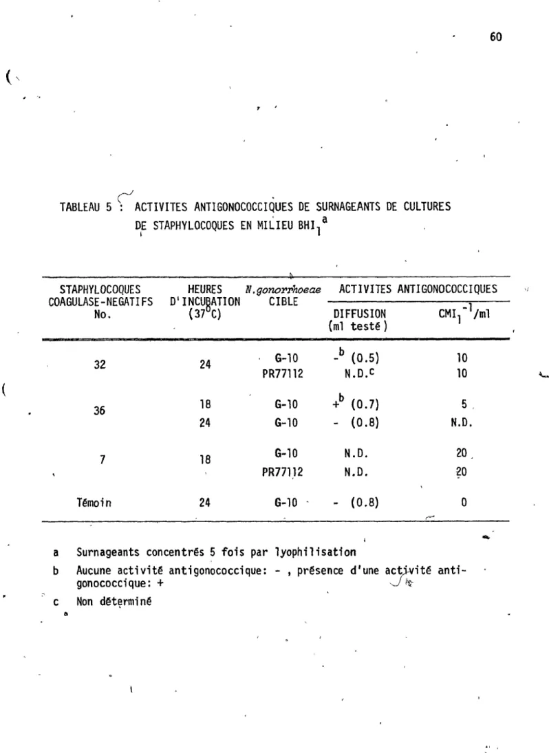 TABLEAU  5  ~  ACTIVITES  ANTIGONOCOCCIQUES  DE  SURNAGEANTS  DE  CULTURES 