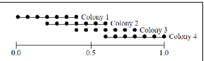 Figure 6 : Mécanisme d'intervalle d'échange à 50% : 4 colonies et 7 fourmis par colonie  (Iredi et al