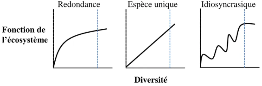 Figure 2 :  Graphique démontrant les différentes théories des effets d’une perte de  diversité sur le fonctionnement des écosystèmes