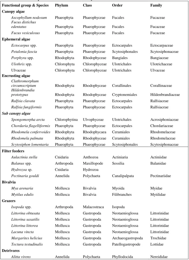 Table 2 : List of species observed in this study. 
