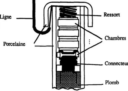 Figure 5.3  Représentation du parafoudre 