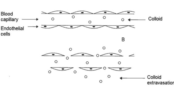 figure 1: Capillary structure of normal tissues with a continuous endothelial lining (A) and tumors possessing enhanced vascular permeability (B).
