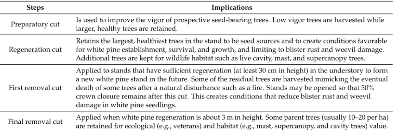 Table 1. Step-by-step description of the uniform shelterwood system for white pine regeneration (after [59]).