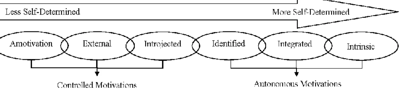Figure 4. Self-determined motivation continuum 
