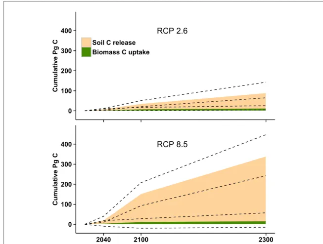 Figure 4. A comparison of soil carbon release recalculated from Schuur et al ( 2013 ) and non-soil biomass uptake in the permafrost region from this study for the business as usual scenario ( RCP8.5 ) and the active reduction of human emissions scenario ( 