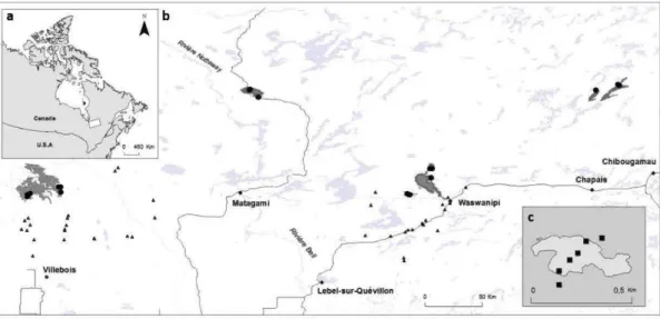 Figure 2.1  Location ofthe study area in the  province of Québec (a), of the  six wildfires  studied ( dark grey; b)  and  design used for bryophyte sampling in one residual forest patch  (c)