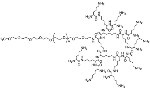 Figure 1.12. Poly(ethylene glycol)-b/ock-poly(L-lysine) dendrimer. Reproduced from (Choi et al.