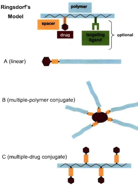 Figure  1-2:  Schematic  representation  of  Ringsdorfs  model  of  a  drug-polymer  conjugate and examples  of different structures  that  can  arise  from  conjugation