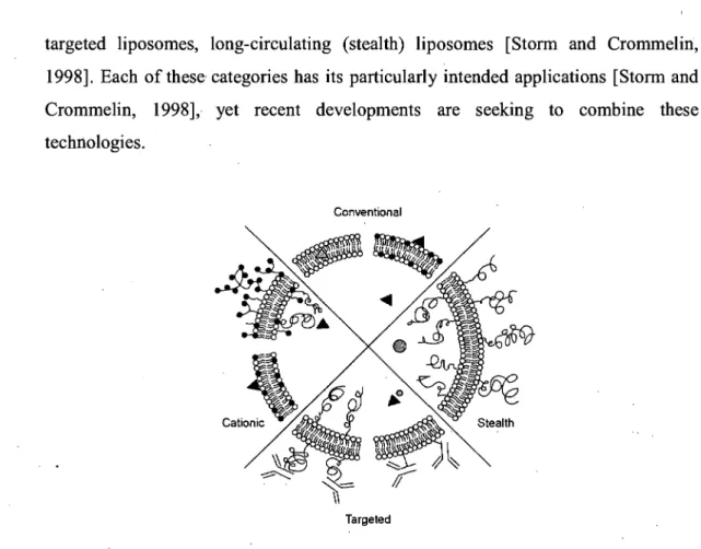 Figure  1-4:  Schematic  representation  of  the  four  major  categories  of  liposomes  Reproduced with permission from  [Storm and Crommelin,  1998]