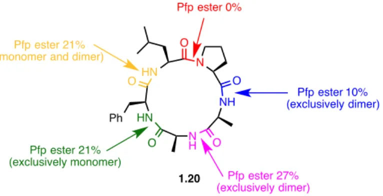 Figure 1.4 – Attemps to synthesize the Pro-Ala-Ala-Phe-Leu macrocycle 1.20 using a Pfp  ester activation strategy in dilute media