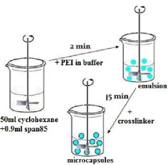 Figure 2-  Schematic illustration of the emulsion method. 