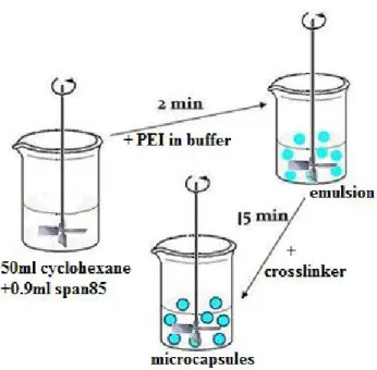 Figure 2-  Schematic illustration of the emulsion method. 
