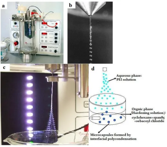 Figure 2- Scheme of the encapsulator and vibration nozzle method. Inotech IE-50R  encapsulator (a); Beads generated from 500 µm nozzle (b); Microdroplets generated from  100 µm nozzle at optimal condition (c); Scheme of PEI microcapsules formation by  vibr