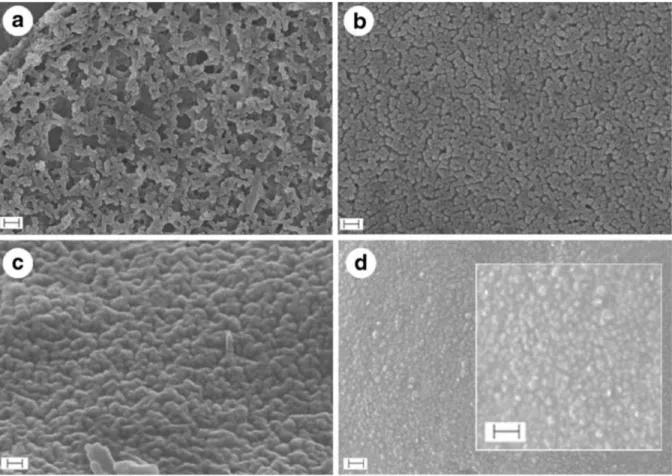 Figure 3- Morphology of the capsules membrane in dependence on the amount of shell  components while keeping the molar ratio between the acid dichloride (TPC) and the amine  components (HMDA+DETA) unchanged (1:2); the amount of shell components varies in  