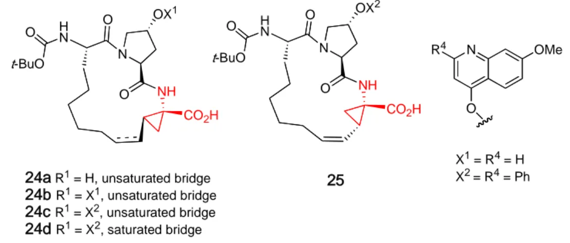 Table 2. Potency of macrocyclic HCV NS3 protease inhibitors in enzymatic (IC 50 )  and cell-based assays (EC 50 )