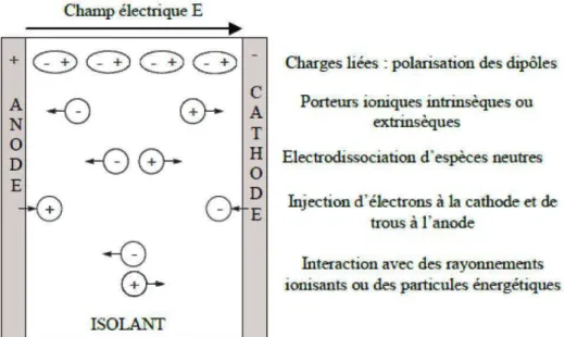 Figure 1.18 :  Mécanisme de  générations des charges dans un isolant entre  électrodes sous l'effet d'un champ électrique (Melle 2005) 