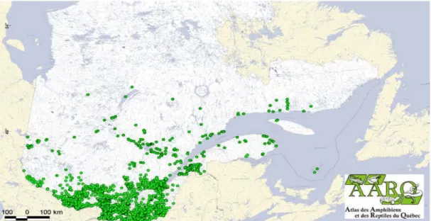 Figure 1.2  Répartition  géographique  connue  de  la Grenouille verte dans la province  du Québec, Canada (AARQ  [En ligne]) 1 