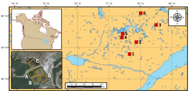 Figure  1.  Location  of  the  experimental  blocks  (1–6).  The  orthophotograph  shows  the  3‐ha  experimental  units  of  block  number  2,  where:  (A)  control;  (B)  mini‐strip  shelterwood;  (C)  distant  selection; (D) close selection and (E) seed