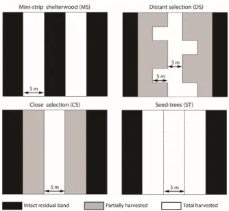 Figure  2.  Spatial  patterns  of  study  treatments.  White  areas  represent  total  harvested  surface  or  intervention trails, black areas indicate the intact residual strip and grey areas are the surface of the  partially harvested residual strip. 