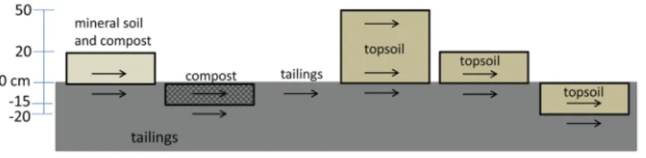 Fig. 1. Schematic representation of substrate treat- treat-ments tested in the study with their respective  ECH2O probes positioning