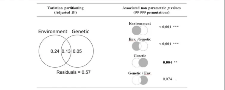 FIGURE 5 | Multivariate variance partitioning of environmental variables (Equation 1) and genetic variables (Equation 2) to explain among-population variability in growth-climate relationships