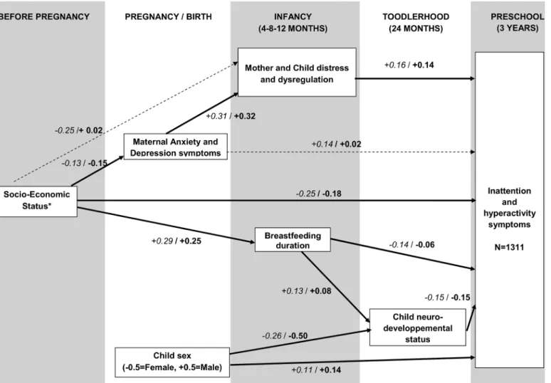 Fig 3. Longitudinal model of inattention-hyperactivity symptoms emergence (4 th step)