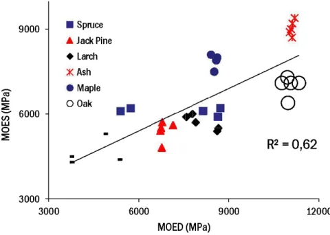 Figure 1.7 : La relation entre le MOES et le  MOED pour différentes  essences de  bois (Koubaa et al