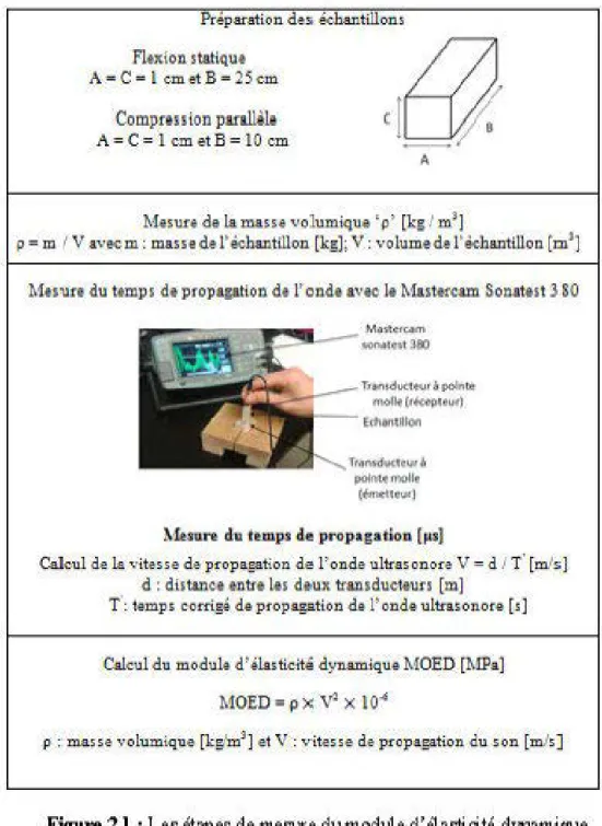 Figure 2.1  :Les étapes de mesure du module d'élasticité dynamique 