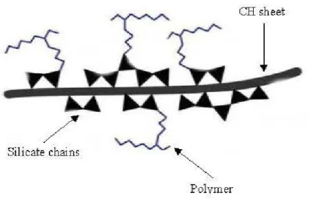 Figure 2.2 1- The schematic of backbone polymer groups grafted to sil icon sites  (Raki  et al., 20 10) 