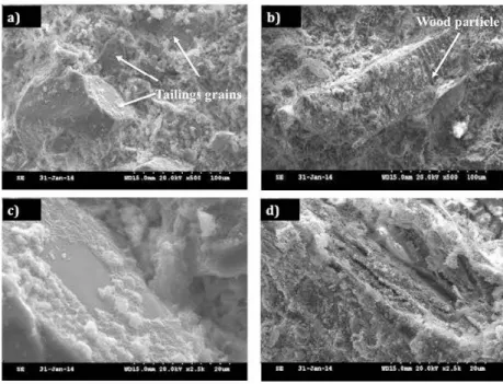 Figure 3.4-SEM micrographs of control sample (a,  c) and CWF-12.5 (b, d) 