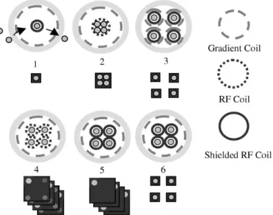 Figure 3.1 – Six approches pour l’imagerie de plusieurs animaux en simultané (Figure tirée de l’article de Bock et al
