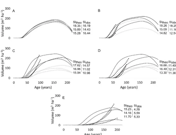 Figure  2.5  Volume-Age  curves  according  to  Pothier and  Savard (1998)  model.  For  readability, stands were grouped into 5 age classes:  (A) 20-50 years, (B) 51-75 years,  (C) 76-100 years, (D) 101-150 years, (E)  &gt;  150 years