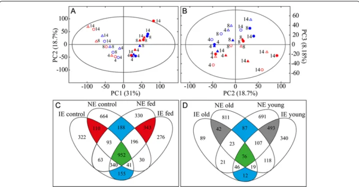 Fig. 7 Metabolomics of Chrysomela populi infested isoprene emitting (IE) and non-emitting (NE) poplars under field conditions