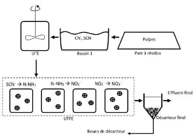 Figure 2-7  Schéma du traitement des étapes de traitement de l'effluent de la mine LaRonde  Dans la présente éb.Jde,  deux types d'effluent de la mine LaRonde ont été utilisés