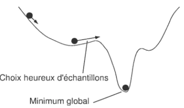 FIG. 3.8 — Sortir de minima locaux avec la descente de gradient stochasticjue.