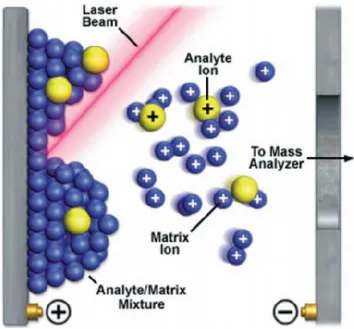 Figure 11.  Représentation schématique de l’ionisation de molécules par désorption  laser