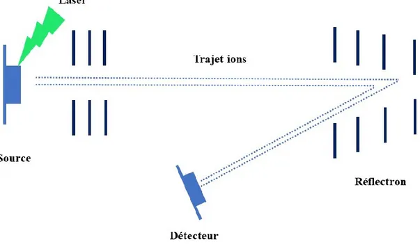 Figure 13.  Représentation schématique de l’analyse en mode réflectron. 