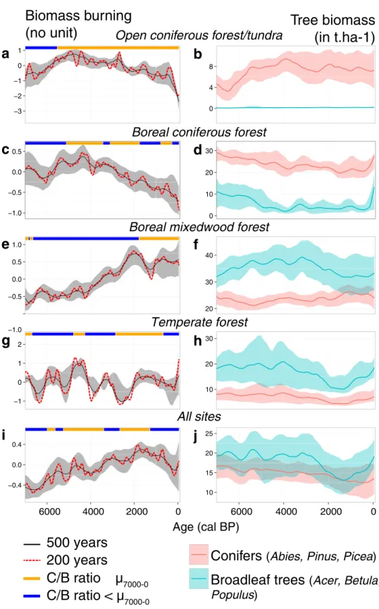 Figure 2.  Biomass burning activity from the compositing of charcoal records and vegetation biomass  expressed as total conifers and broadleaf tree biomass computed for the main tree genus, i.e