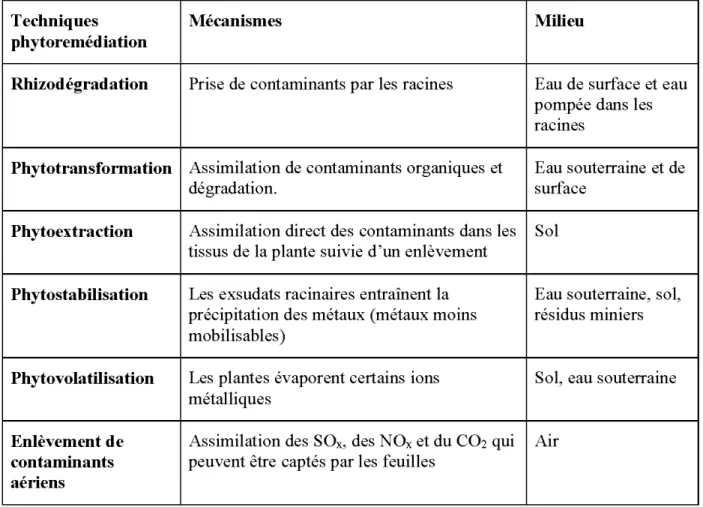 Tableau 2.4: Mécanismes d' enlèvement des  contaminants toxiques de  l'environnement et  techniques de phytoremédiation (traduit de Singh  et al.,  2003) 