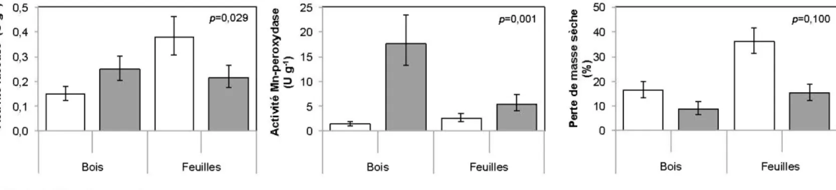 Figure 2.4 Dynamique microbienne après 30 semaines d 'incubation en fonction de  l 'origine des  litières  et de leur état de  décomposition