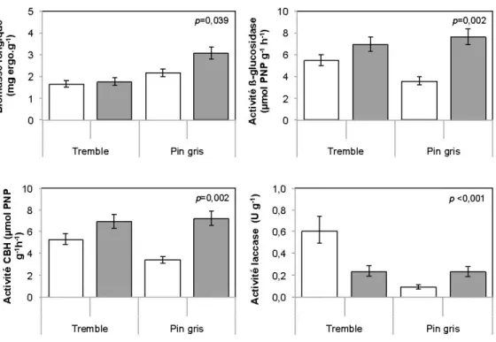 Figure 2.6  Dynamique  microbienne  après  30  semaines  d'incubation en fonction  de  l'essence  et de  l'état de décomposition des  litières  